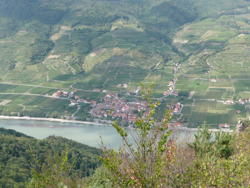 Weingut Langmayer Wösendorf Dış mekan fotoğraf