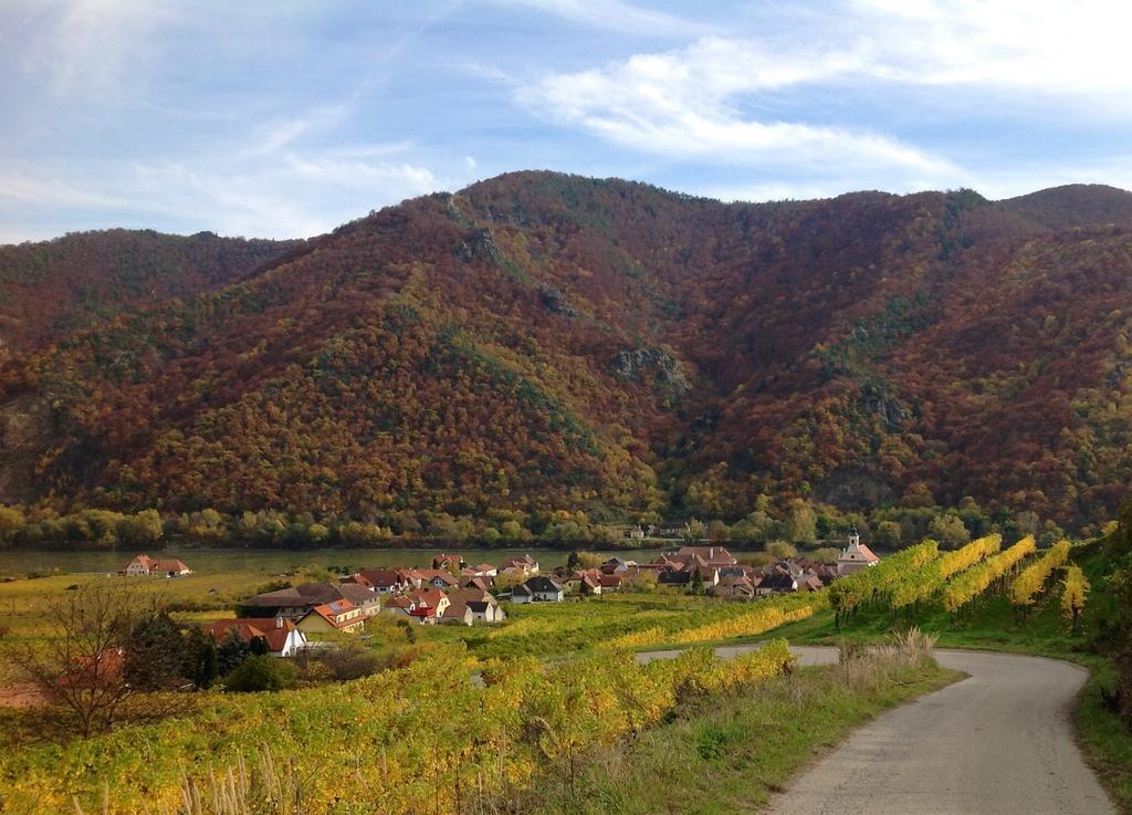 Weingut Langmayer Wösendorf Dış mekan fotoğraf