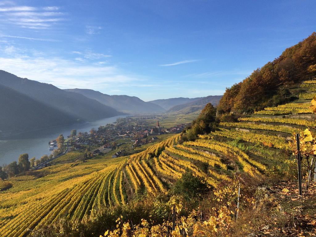 Weingut Langmayer Wösendorf Dış mekan fotoğraf