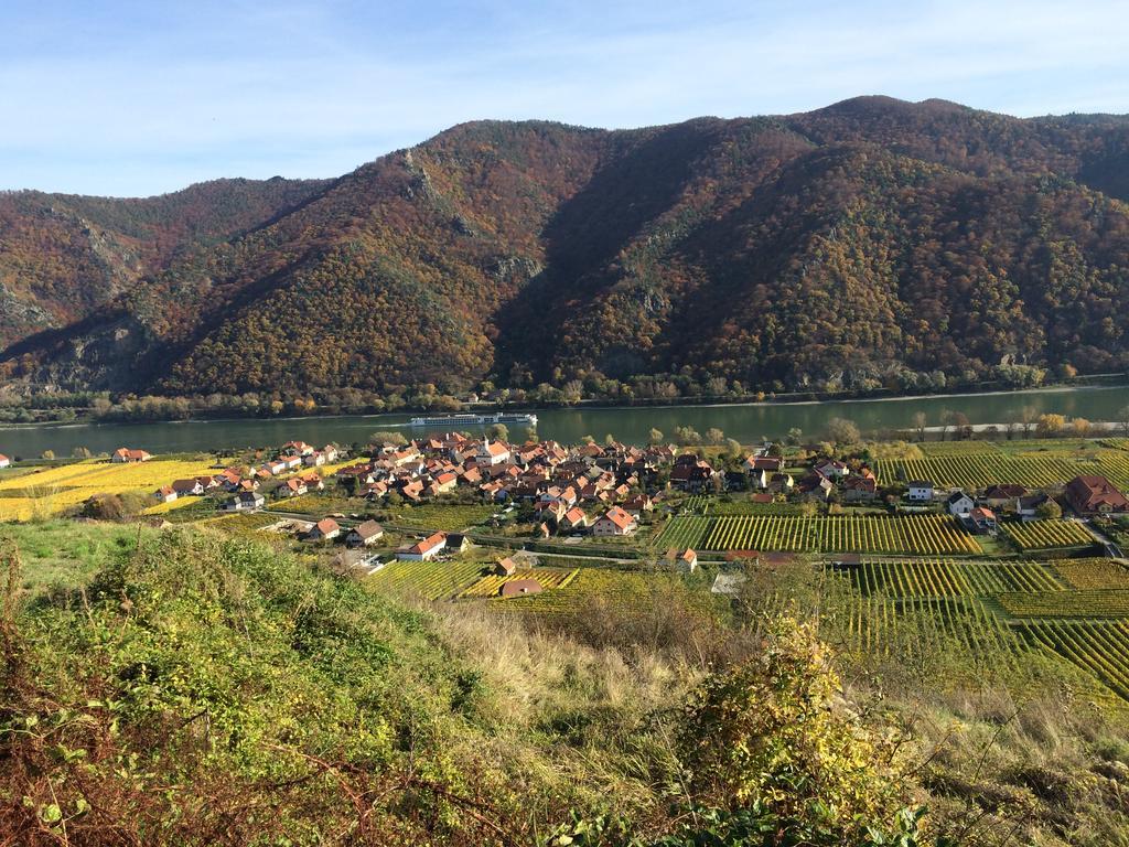 Weingut Langmayer Wösendorf Dış mekan fotoğraf